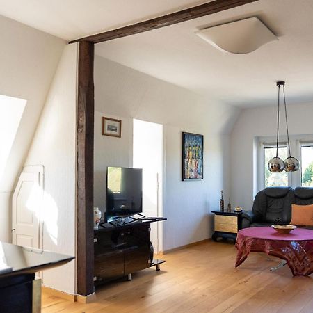 Apartment In Villa Rochlitz Luaran gambar