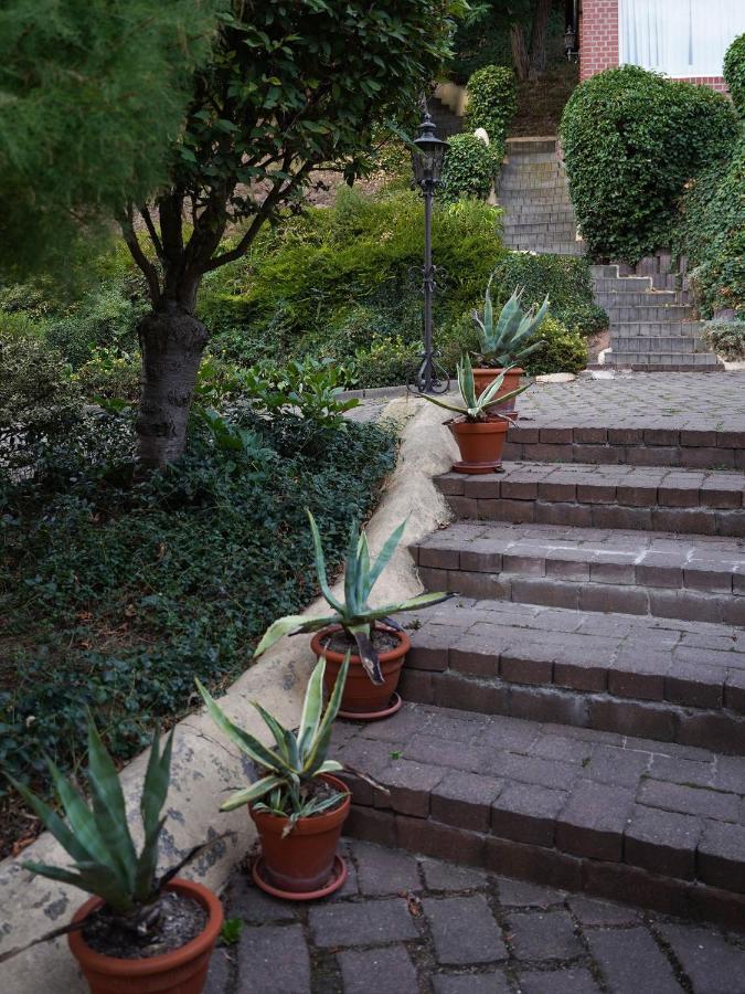 Apartment In Villa Rochlitz Luaran gambar